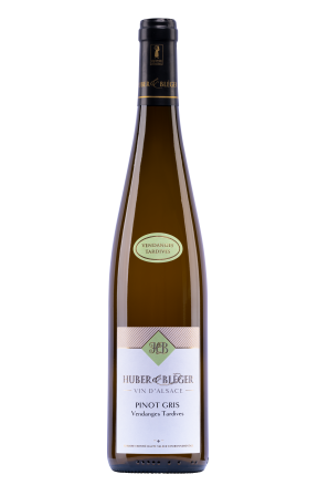 Vendanges Tardives d’Alsace à Saint-Hippolyte près de Colmar