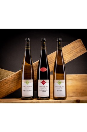 Achat, dégustation et vente en ligne vins d'Alsace à Saint-Hippolyte (Colmar) (4)